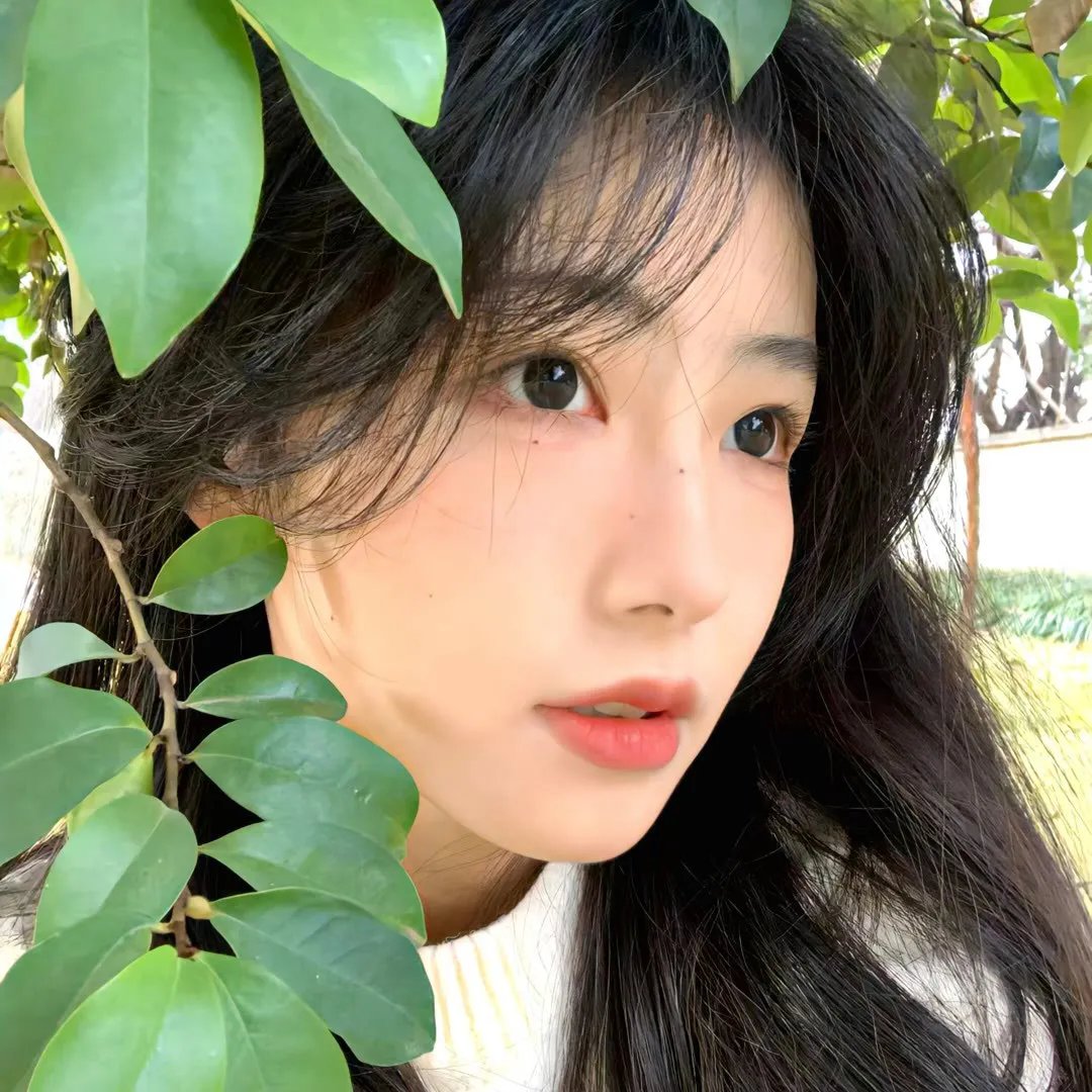 颤抖的真相第二季