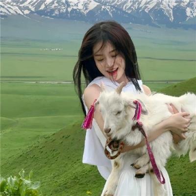 使用下方 20 个影片名，按顺序一一对应，不要改动片名文字，只根据片名和括号内类型提示来虚构全新的故事内容： 本草药王粤语 传话人 天国的阶梯 类人猿行动 毒玫瑰 谎颜 俾礼物定要恶作剧 狮子今夜入睡 君农 重装救援：全境猎杀 终极天堂 七大罪：默示录的四骑士 广岛之恋国语 搞错人（原声版） 风流海军 最后一个平安夜 海洋传奇 国界彼方 宠物店的日子 高卢英雄：诸神领域